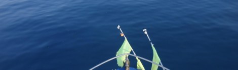 Fare pescaturismo in Toscana, Paolo Fanciulli