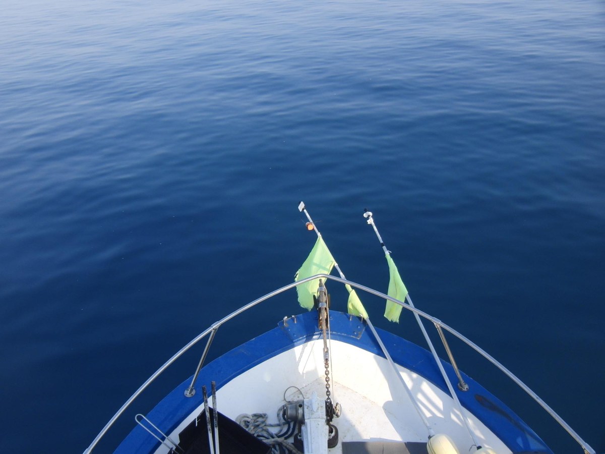 Fare pescaturismo in Toscana, Paolo Fanciulli